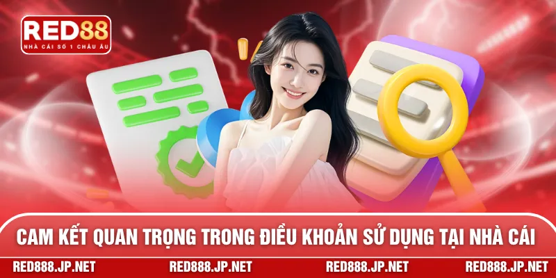 Các cam kết quan trọng trong điều khoản sử dụng tại nhà cái