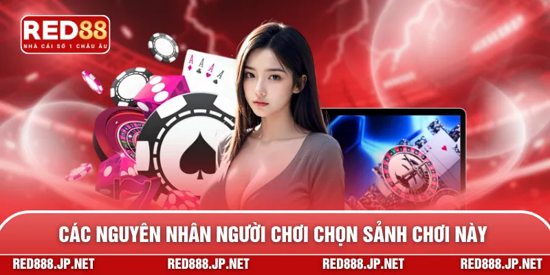 Các nguyên nhân người chơi chọn sảnh chơi này