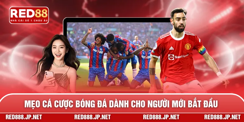 Mẹo cá cược bóng đá dành cho người mới bắt đầu