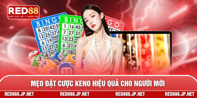Mẹo đặt cược Keno hiệu quả cho người mới